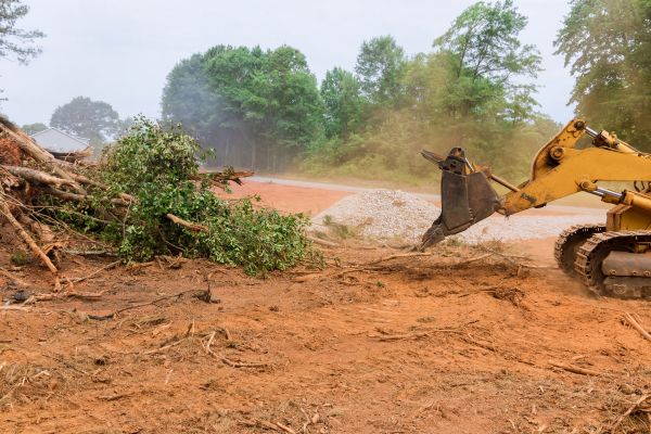 Ground Clearing in Sparks