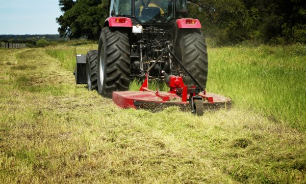 Brush Clearing Service in Sparks