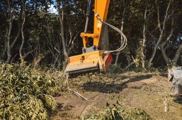 Brush Removal Service in Sparks