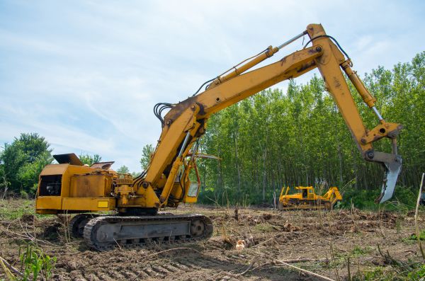 Cost of Farm Clearing in Sparks