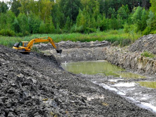 Cost of Lake Lot Clearing in Sparks