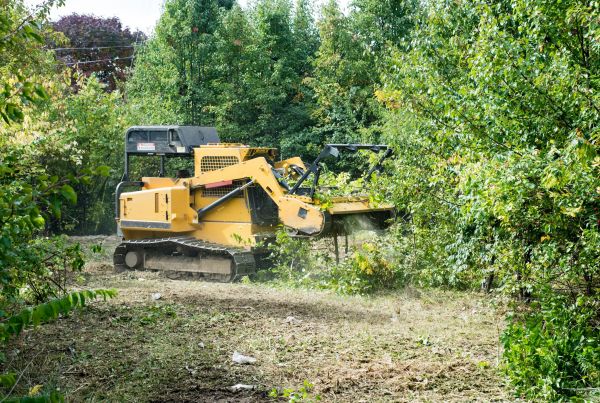 Cost of Pathway Clearing in Sparks
