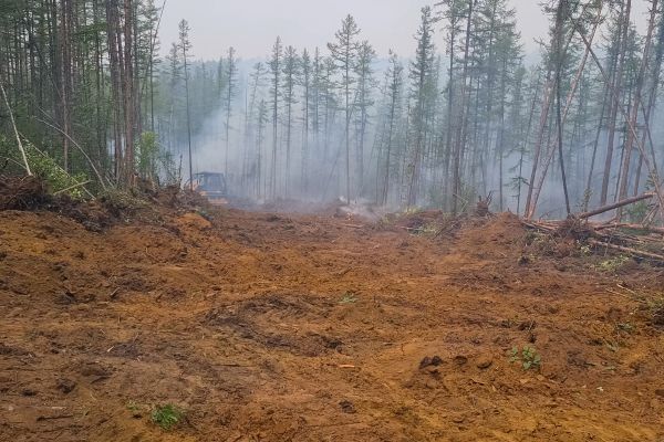 Cost of Hill Clearing in Sparks