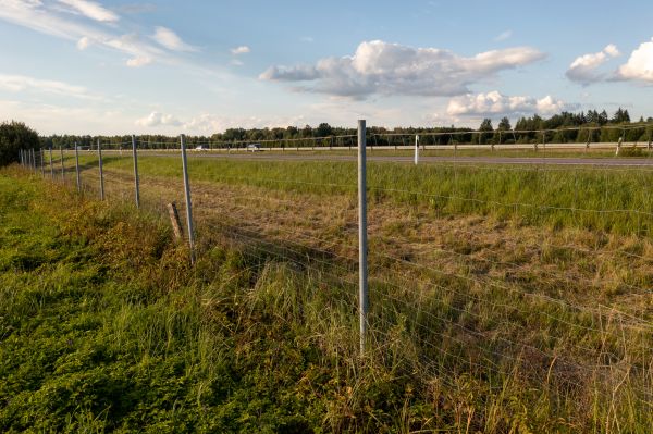 Cost of Property Line Clearing in Sparks