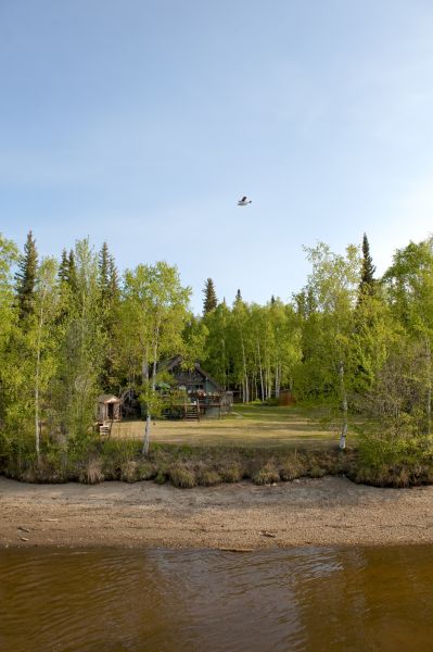 Cost of Waterfront Land Clearing in Sparks