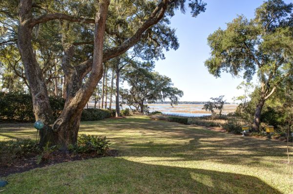 Cost of Lakefront Property Clearing in Sparks