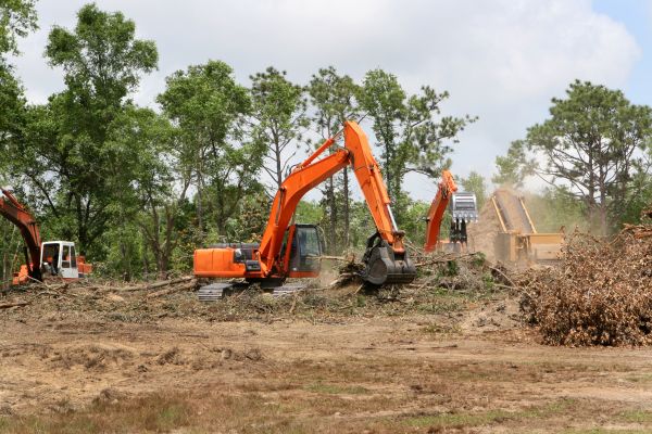 Cost of Commercial Lot Clearing in Sparks
