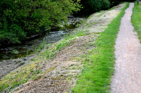 Cost of Trail Cutting in Sparks