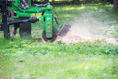 Stump Grinding and Removal